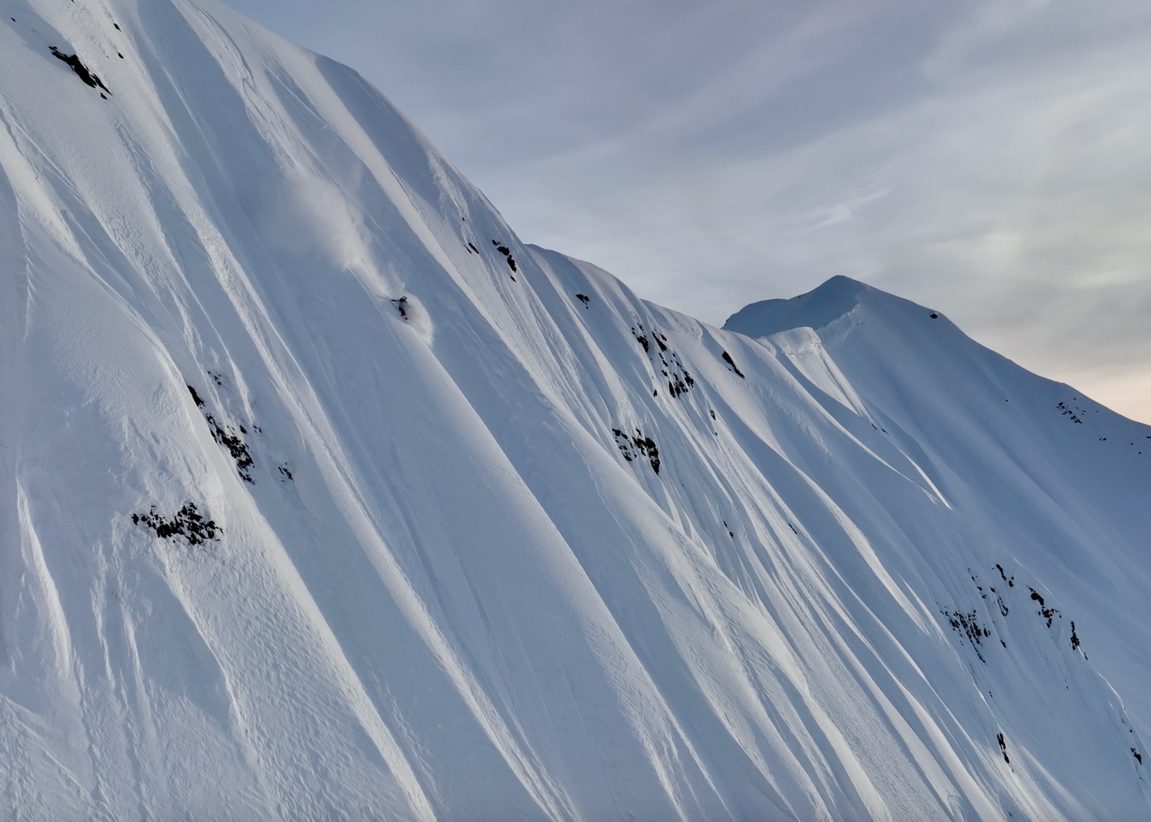 Here Hold My Kid Header