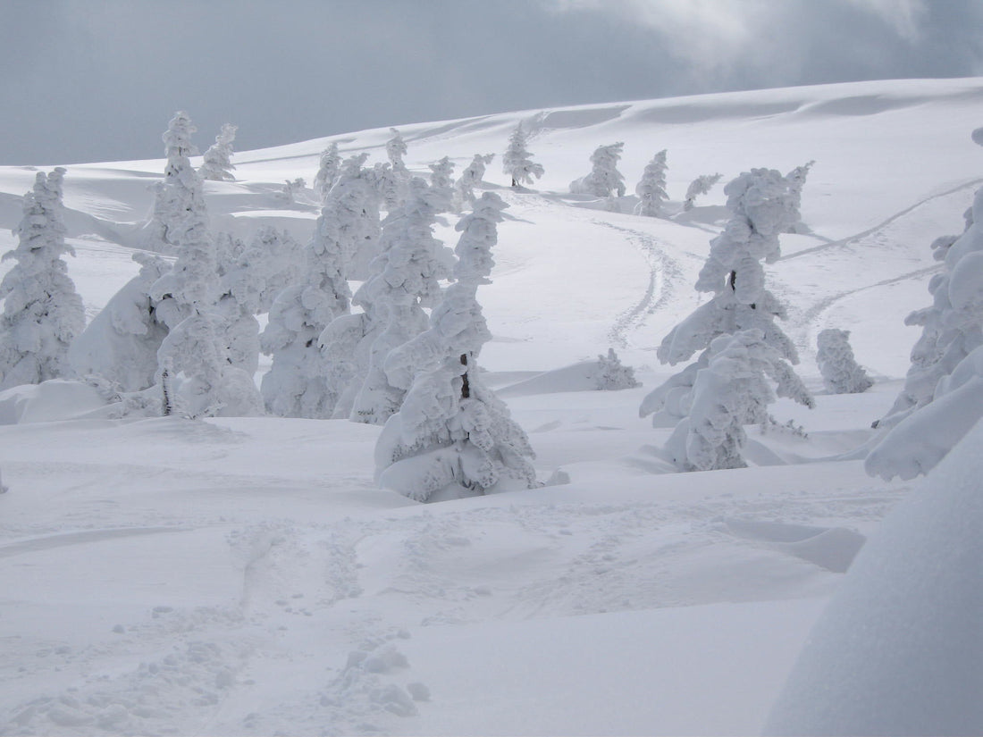 Zao Onsen in winter