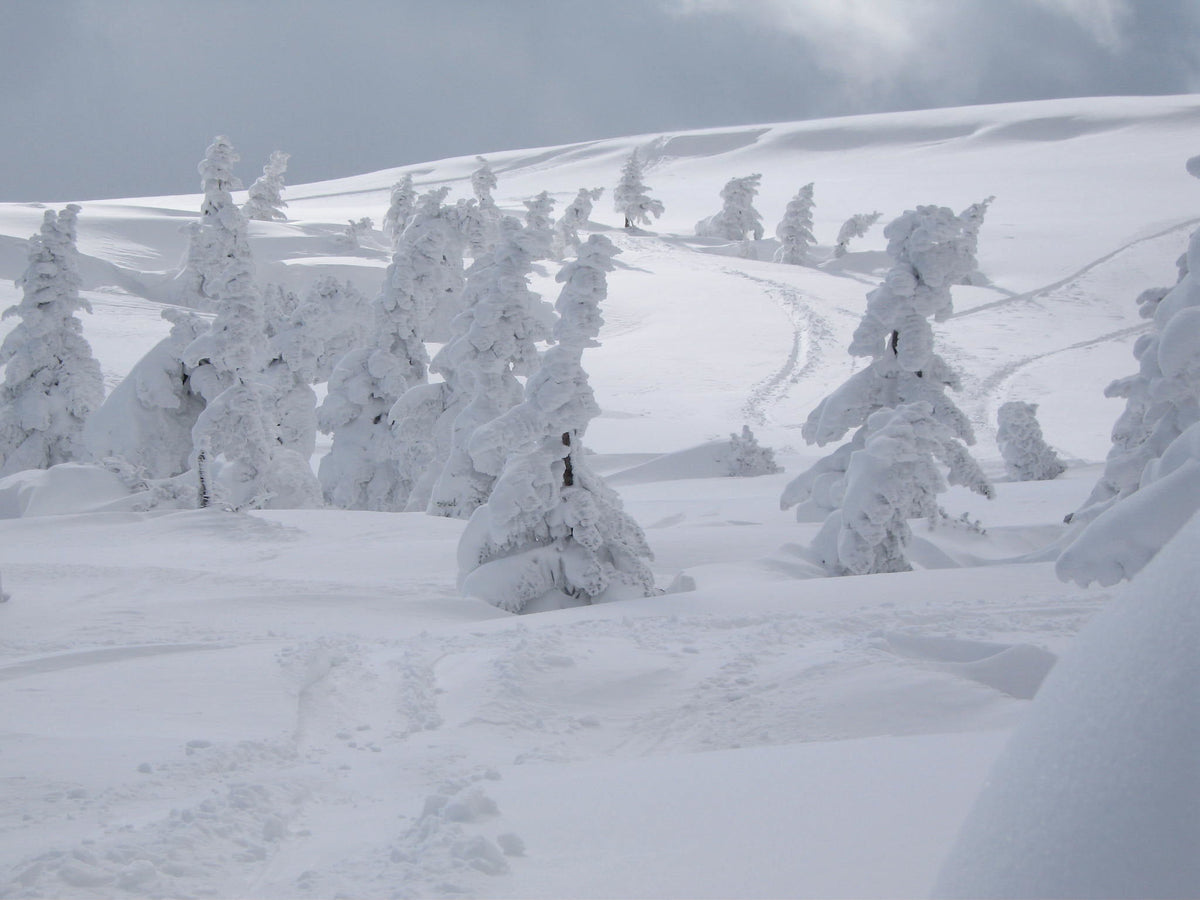 Zao Onsen in winter