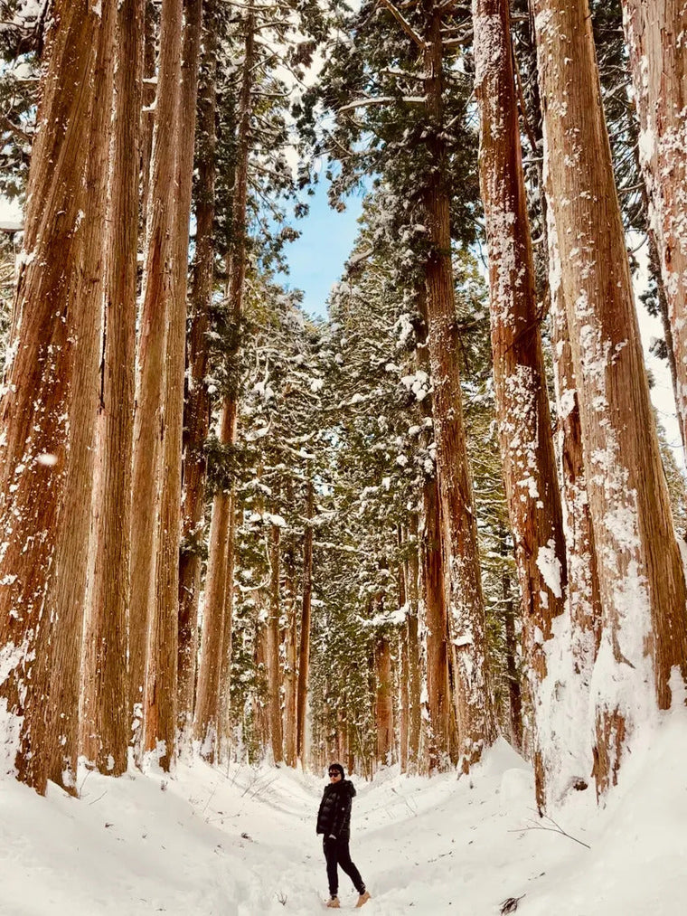 Togakushi Kogen, Nagano — Japan ski resort